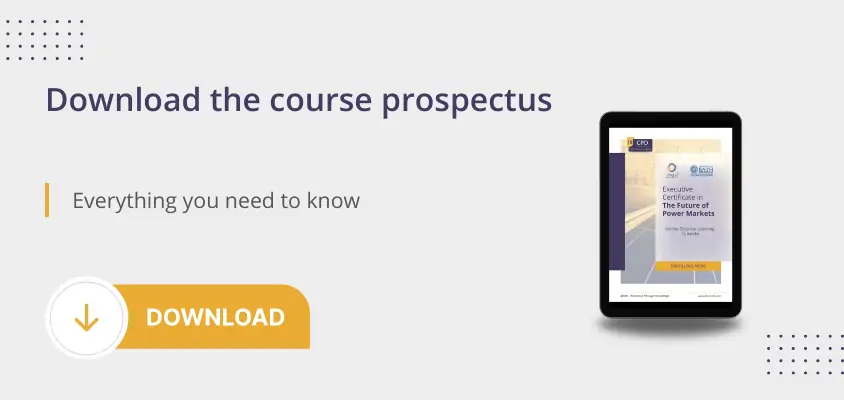 Executive Certificate in The Future of Power Markets